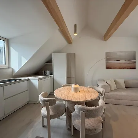 Apartment Donau-loft Linz