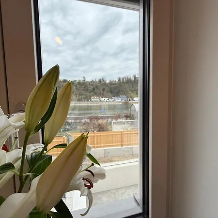 Apartment Donau-loft