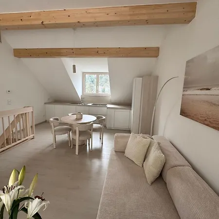 Donau-loft Apartment