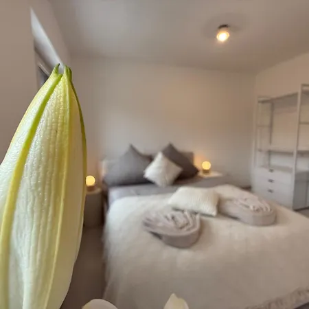 Donau-loft Apartment *