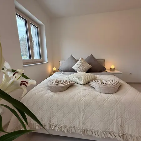 Donau-loft Apartment