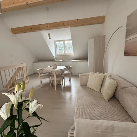 Donau-loft Apartment