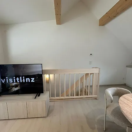 Donau-loft Apartment Linz